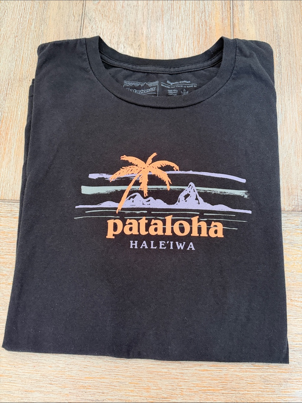 Patagonia Men’s Pataloha Hale’iwa Black Organic Cotton Tee | Size Large
